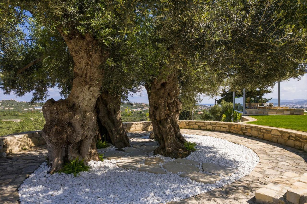 Olivenest Chania Executive Villa Perivolia  Bagian luar foto